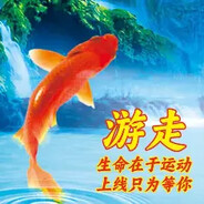 海南椰子批发王哥
