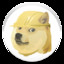 dogeminer