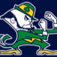 FightingIrish023