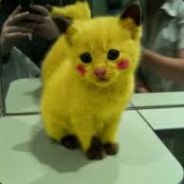 Угольная Фея - steam id 76561198237107044