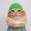Meowslim