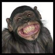 sylwesterkaczmarek31