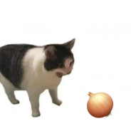 生啃洋葱（加蒜版