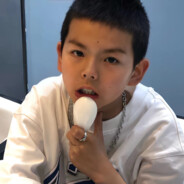 头浸马桶坑里猪