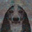 bostela