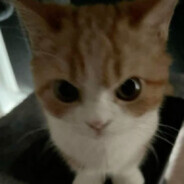 MMM - steam id 76561199647350232