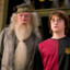Игорь Dumbledore