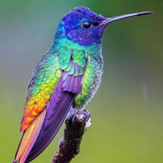 корибли#bolotorust - steam id 76561199828700827