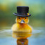 quack