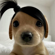 炒鸡无敌小野猪