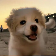 熬夜且爱睡懒觉