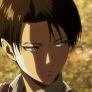 Levi