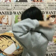 翻斗花园狙击手玖神