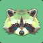 RACCOON