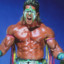 The Ultimate Warrior