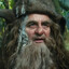 Mr.Radagast