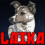 Kubark, In Memory of Laika