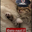 Pipeta4