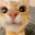 meow