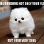HarshPuppies