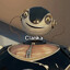 Bot