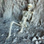 Don&#039;t give up, skeleton!