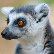 Lemur