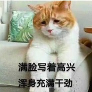 我汤姆猫不服