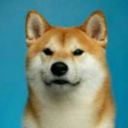 住在山里真不错