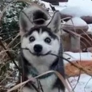 血色竞技丶胖胖