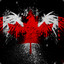 Some Canadian Guy