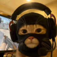tameroge avatar