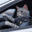 OfficerMeow