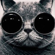 猫！