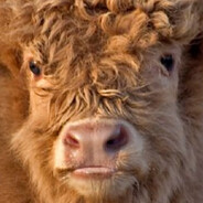 АНКЕРА МЕССИ