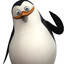 penguin_Kipish
