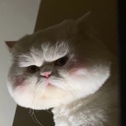 FFfan