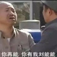 辽北拳皇范德彪