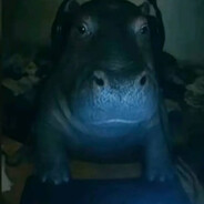 Гитлер мой друг