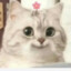 Farik