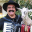 CarlosMMM