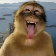 Skeidox - steam id 76561198215977219