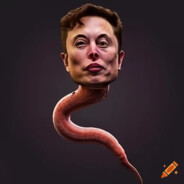 Elon Mask