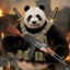 Sensei-Panda