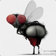 我发起狠来连自己都打！