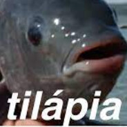 Peixonauta