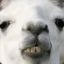 Derranged Llama
