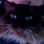 Minismog