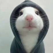 你进不去的地方，别人