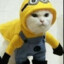 minon?